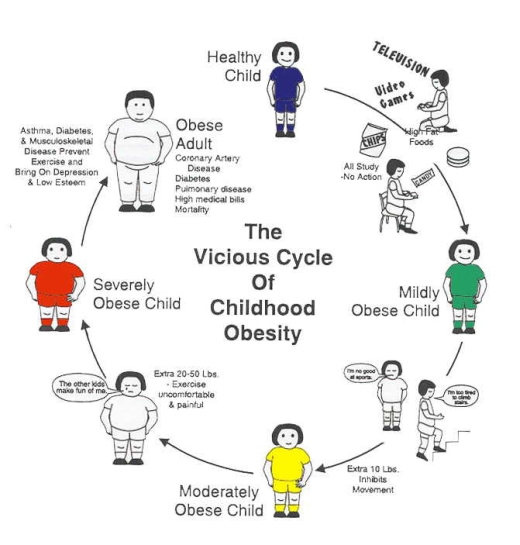The Obesity Cycle (Photo courtesy of earlychildhood-educations.blogspot.com)